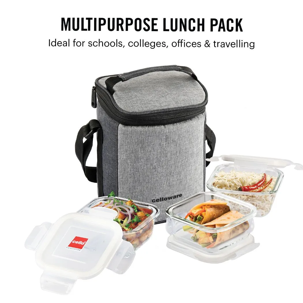 Delighta Borosilicate Glass Lunch Box with Jacket, Square