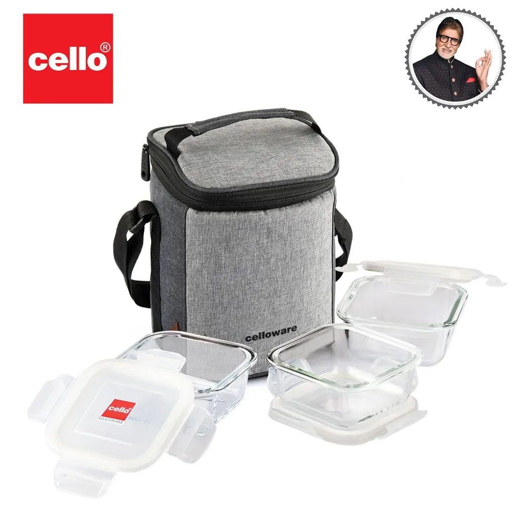 Delighta Borosilicate Glass Lunch Box with Jacket, Square