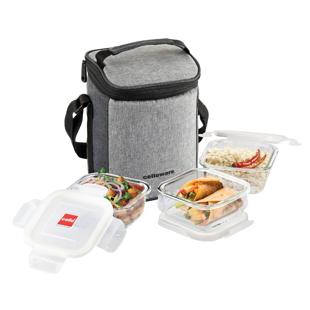 Delighta Borosilicate Glass Lunch Box with Jacket, Square