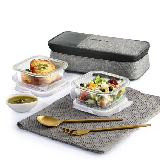 Delighta Borosilicate Glass Lunch Box with Jacket, Square