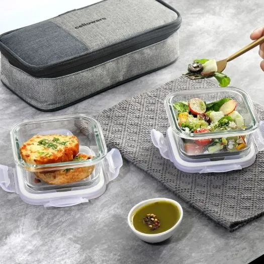 Delighta Borosilicate Glass Lunch Box with Jacket, Square