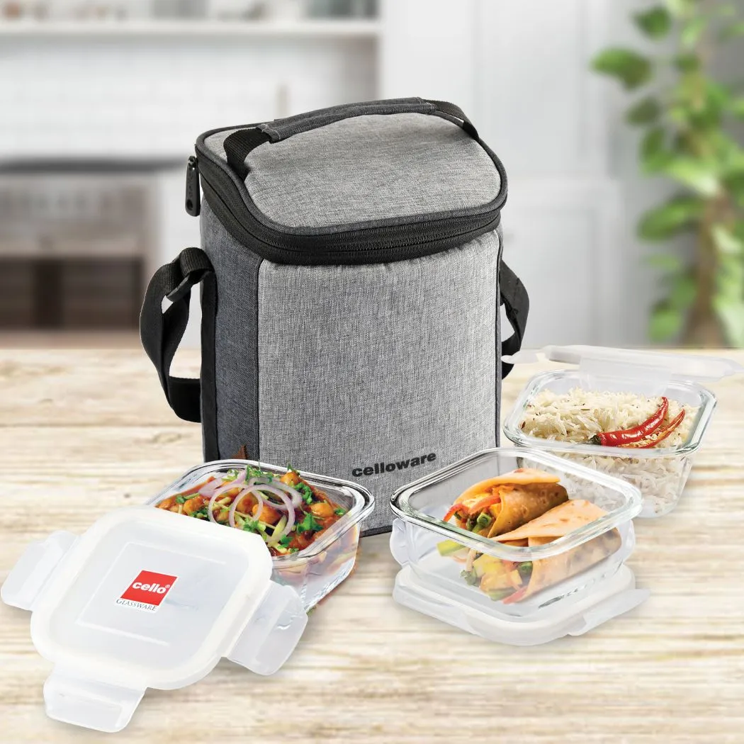 Delighta Borosilicate Glass Lunch Box with Jacket, Square