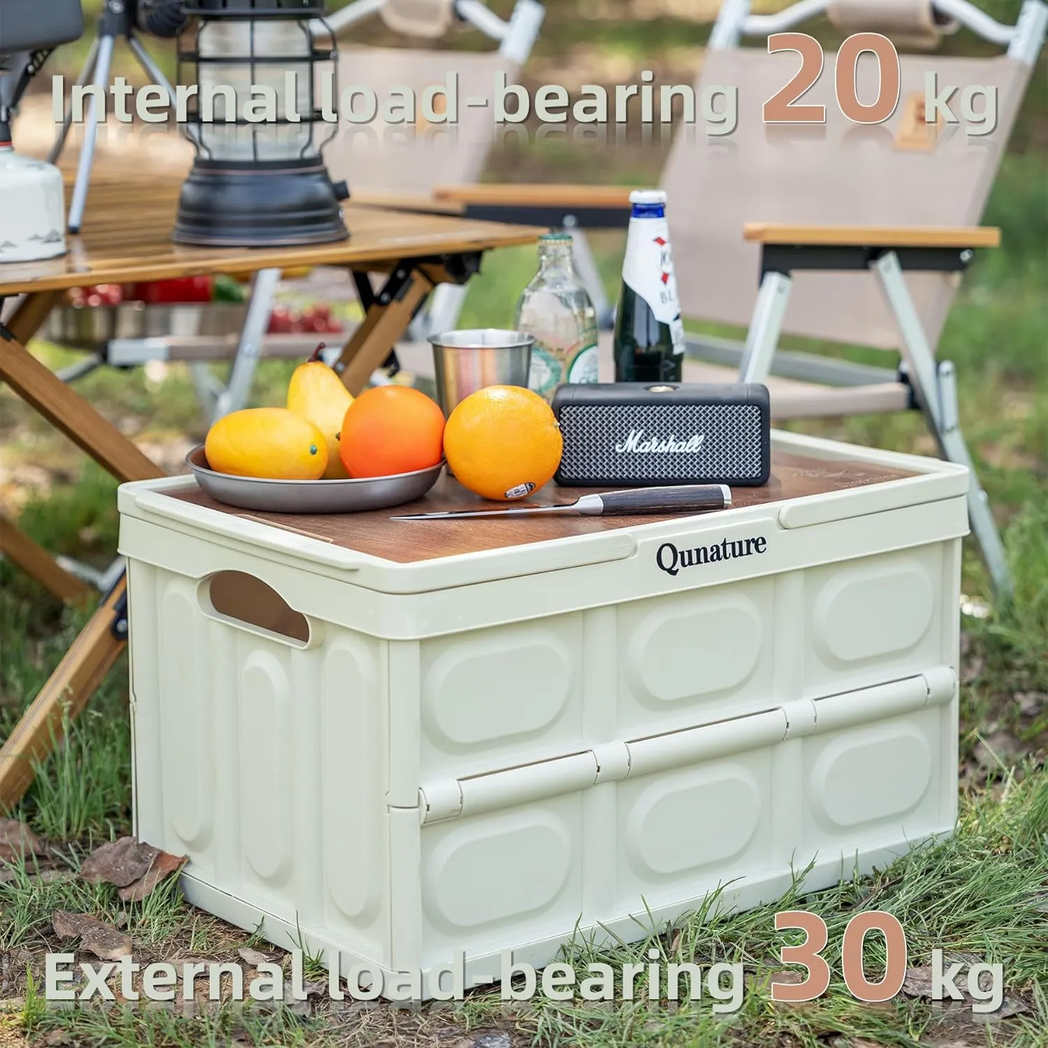 Qunature 55L Collapsible Storage Bin with Lid and Handle