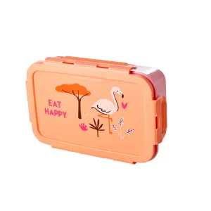 Rice DK Lunchbox with 3 Inserts - Coral Jungle Print